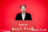 居然之家汪林朋：未来3-5年，在100个城市建100座商业综合体！