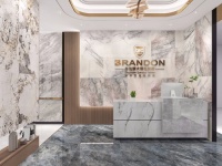 陶卫快讯|2022布兰顿大理石瓷砖72㎡广场智慧门店正式发布！！！