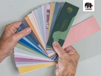 以仙鹤为灵感，德爱威2022年度流行色让人一眼沦陷