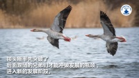 2022家裝深度觀察NO.11：武漢家裝市場(chǎng)的競(jìng)爭(zhēng)格局
