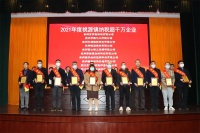 大衛(wèi)地板獲桃源鎮(zhèn)納稅超千萬企業(yè)等7項殊榮