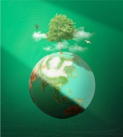 保护环境，不止于植树