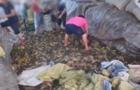 健康防护很重要，这个消毒方式不能忽视