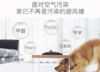 被过度吹捧过的3种除甲醛好物 没用两次就露馅了