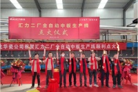 陶卫快讯|汇力瓷业（二厂）全自动中板生产线点火开工