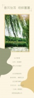 【领绣·菁华】春季新品《王者宣言36》络柳，给生活一点甜