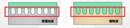 普通油漆與植物漆對木門的滲透程度對比