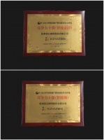 颠覆性创新+品牌战略升级：看20年安防品牌王力如何引领智能锁行业潮流