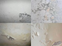 可耐美漆给墙面更好“装”效，秘诀我只告诉你