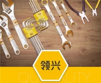 【高性價比 品質(zhì)保證】縱購自主品牌領(lǐng)興的發(fā)展之路