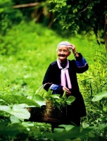 元素体：好水泡好茶，好水煲好汤，好水煮好饭！