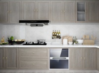 双虎家居持续夯实专业化实力 以个性化产品满足消费者多元化需求