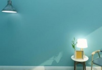 被过度吹捧的除甲醛好物 你有没有中招！