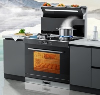 迅达蒸烤消三合一集成灶325Y，开启智享厨房新体验