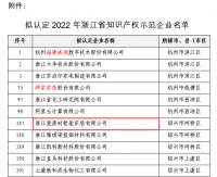 【愛(ài)漫時(shí)】喜報(bào)！愛(ài)漫時(shí)入選“2022年浙江省知識(shí)產(chǎn)權(quán)示范企業(yè)”名單