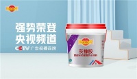 碧家索防水榮登央視，硬核品牌實力鑄就高光時刻！