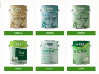 氧伽漆 室内环境污染防治专家