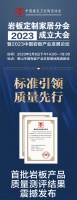 共论岩板产业未来发展趋势，共谋行业高质量发展