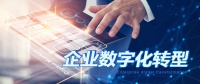 把握時(shí)代風(fēng)口 企業(yè)數(shù)字化破圈
