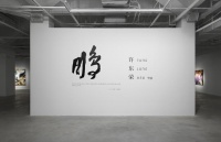 鵬 | 許東榮個展