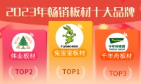 偉業(yè)板材入選2023年暢銷板材十大品牌