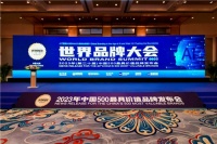 中國500最具價值品牌榜發(fā)布：三翼鳥3次蟬聯(lián)