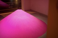 《I disappear當我不在》Magartland藝術(shù)家Anneliese Charek中國首展