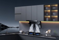 打造高品质厨房生活 老板电器超薄顶侧双吸油烟机D1震撼发布