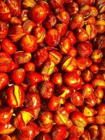 培恩M5丨能蒸善烤，家用正正好！