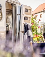 锁定浪漫秋日,海丝腾做你的温暖“搭子”