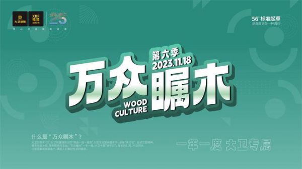 重磅 | “四大IP”亮相大衛(wèi)25周年慶