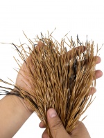 茅草哥新型仿真茅草给，能给我们带来怎样的非凡感受呢？