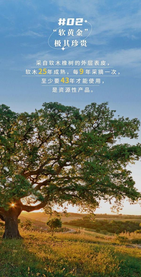 無懼挑剔眼光，裝飾材料的天花板！
