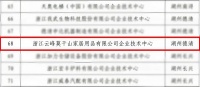 創(chuàng)新引領(lǐng)未來(lái) | 莫干山家居企業(yè)技術(shù)中心獲評(píng)省級(jí)企業(yè)技術(shù)中心
