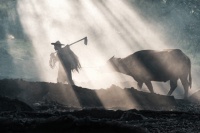 上海三思立体育苗系统Vertical X打造“不见光”人工农场