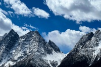 LANDSxRDR大板｜奥斯汀 筑就奢雅新境