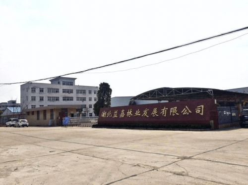 北圓建材品牌持續(xù)創(chuàng)新，深耕木質(zhì)建材市場