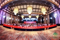 厉害了！西卡德高又双叒获奖，业界好评如潮！