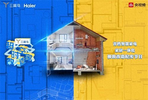 智慧家电家居一体化极致改造纪实类节目