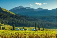 中广欧特斯为阿勒泰提供高效采暖，保障当地冬季舒适生活