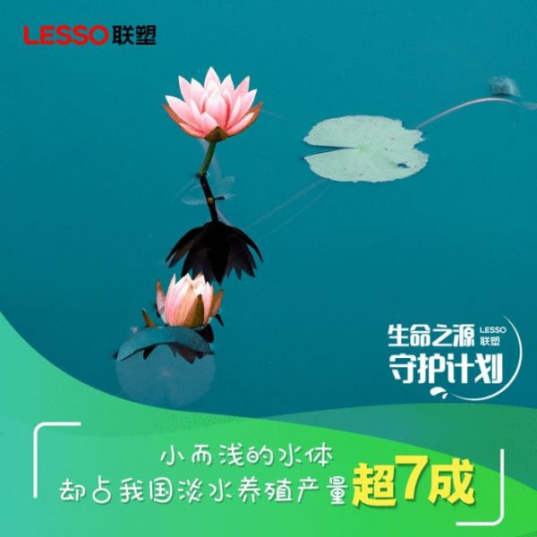 生命之源守護計劃丨做自然的朋友，聯(lián)塑正在行動！