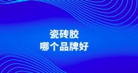 隨著現(xiàn)代家居裝修市場的快速發(fā)展，瓷磚作為地面和墻面裝飾的重要材料，其鋪貼工藝和材料的選擇成為了消費者關(guān)注的焦點。瓷磚膠憑借其粘結(jié)力強、施工便捷等優(yōu)點，逐漸成為了市場的寵兒。但是瓷磚膠品牌眾多，瓷磚膠什么品牌好也成為不少消費者關(guān)心的問題。在這個競爭激烈的市場中，東方雨虹防霉無塵大磚瓷磚膠憑借其卓越的性能和環(huán)保理念，成功脫穎而出，成為家居裝修領(lǐng)域的領(lǐng)導(dǎo)者。
