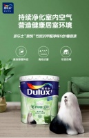 多乐士乳胶漆和立邦乳胶漆哪个好？哪个更值得选购