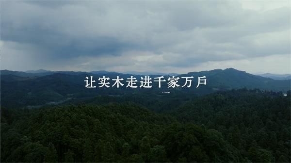 “與木共生”，和大王椰一起守護(hù)傳統(tǒng)木文化！