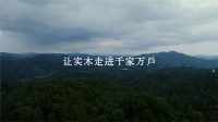 “與木共生”，和大王椰一起守護(hù)傳統(tǒng)木文化！