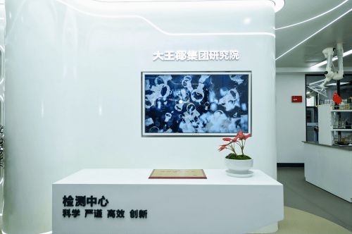 2024板材与家居品牌创新研讨会举行 大王椰荣获多项行业优秀称号