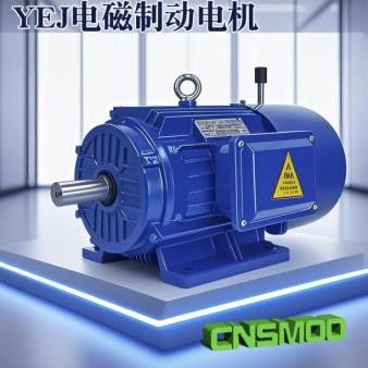 南京蘇瑪電機(jī)有限公司產(chǎn)品圖片2