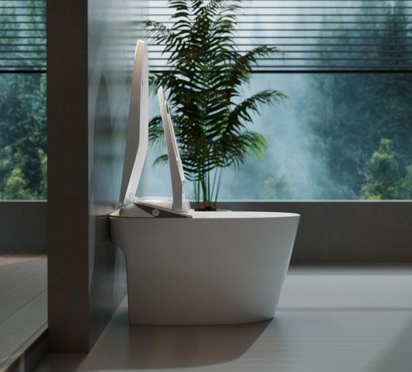 Zhongyu Smart Toilet - First Impression