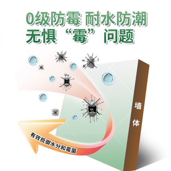 耐水防霉膩?zhàn)又鲌D5.jpg