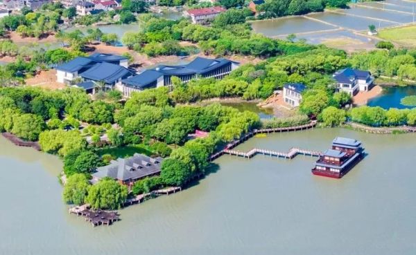 兔寶寶活動交流
